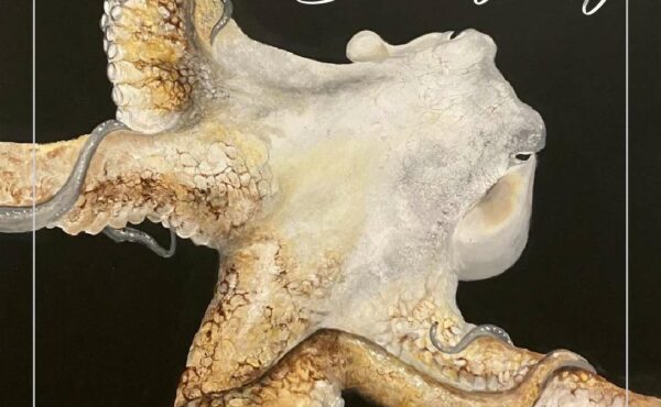 Artastasia