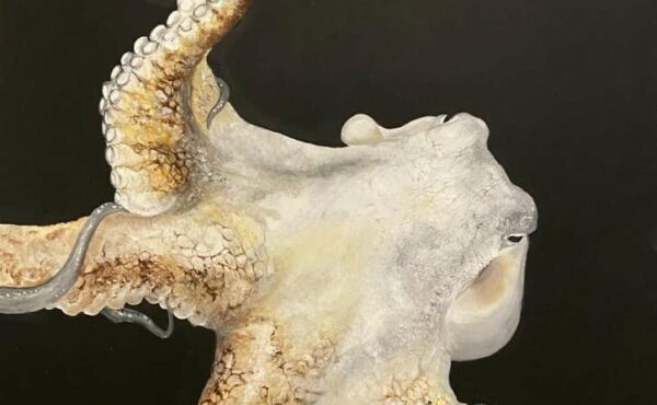 Artastasia